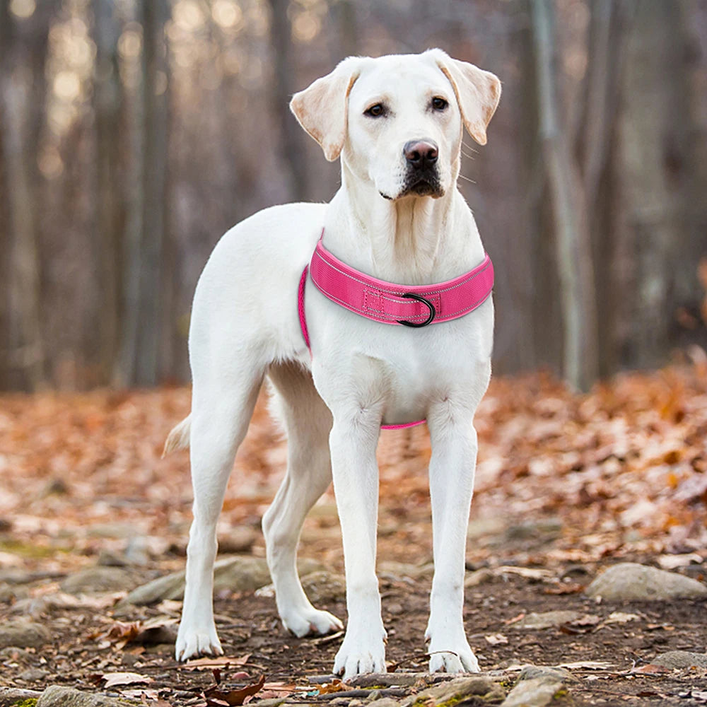 Reflective No-Pull Dog Harness - The Canine Cart