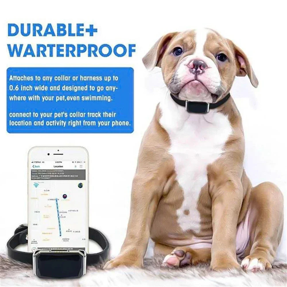 GPS Dog Tracker Collar - The Canine Cart