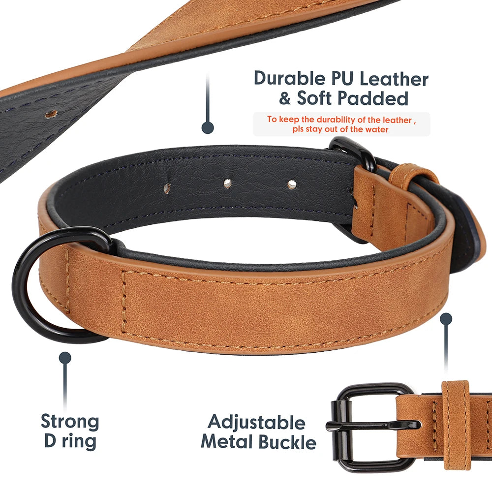 Soft Padded Leather Dog Collar - The Canine Cart