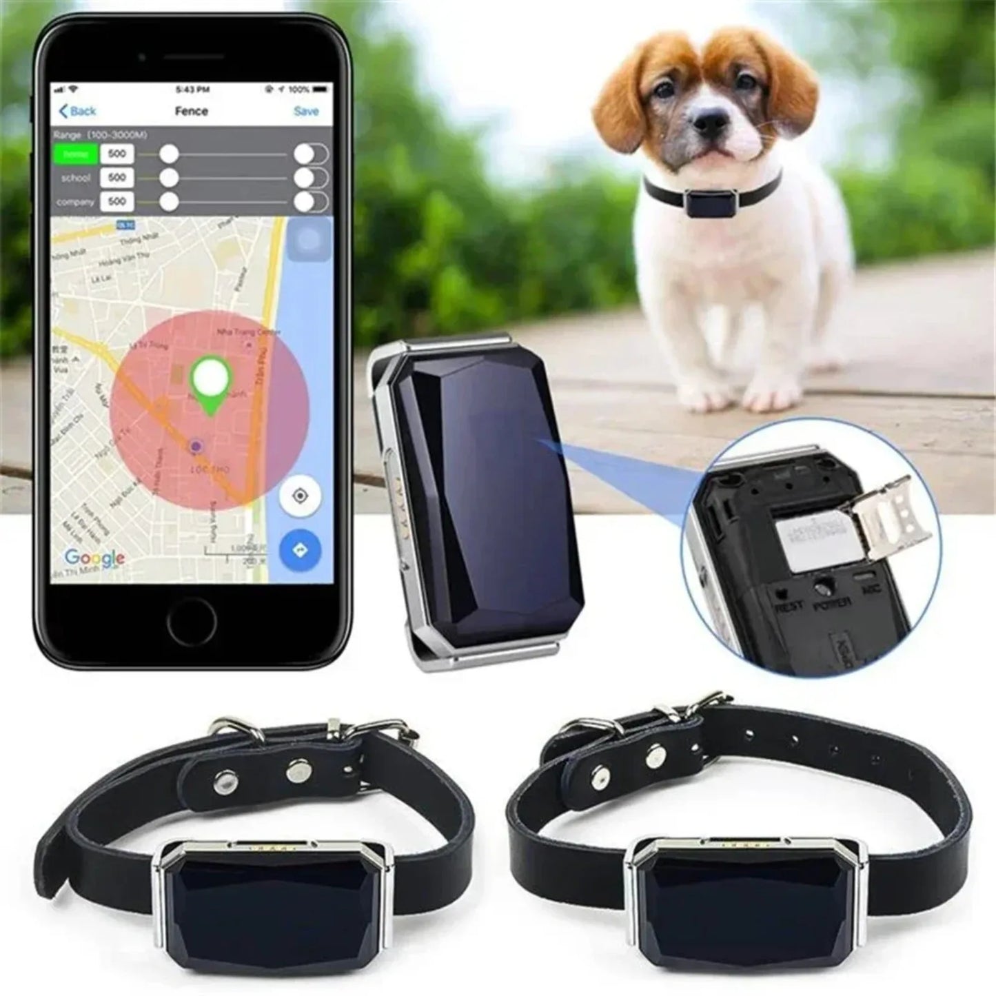 GPS Dog Tracker Collar - The Canine Cart