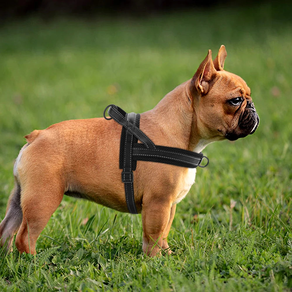Reflective No-Pull Dog Harness - The Canine Cart
