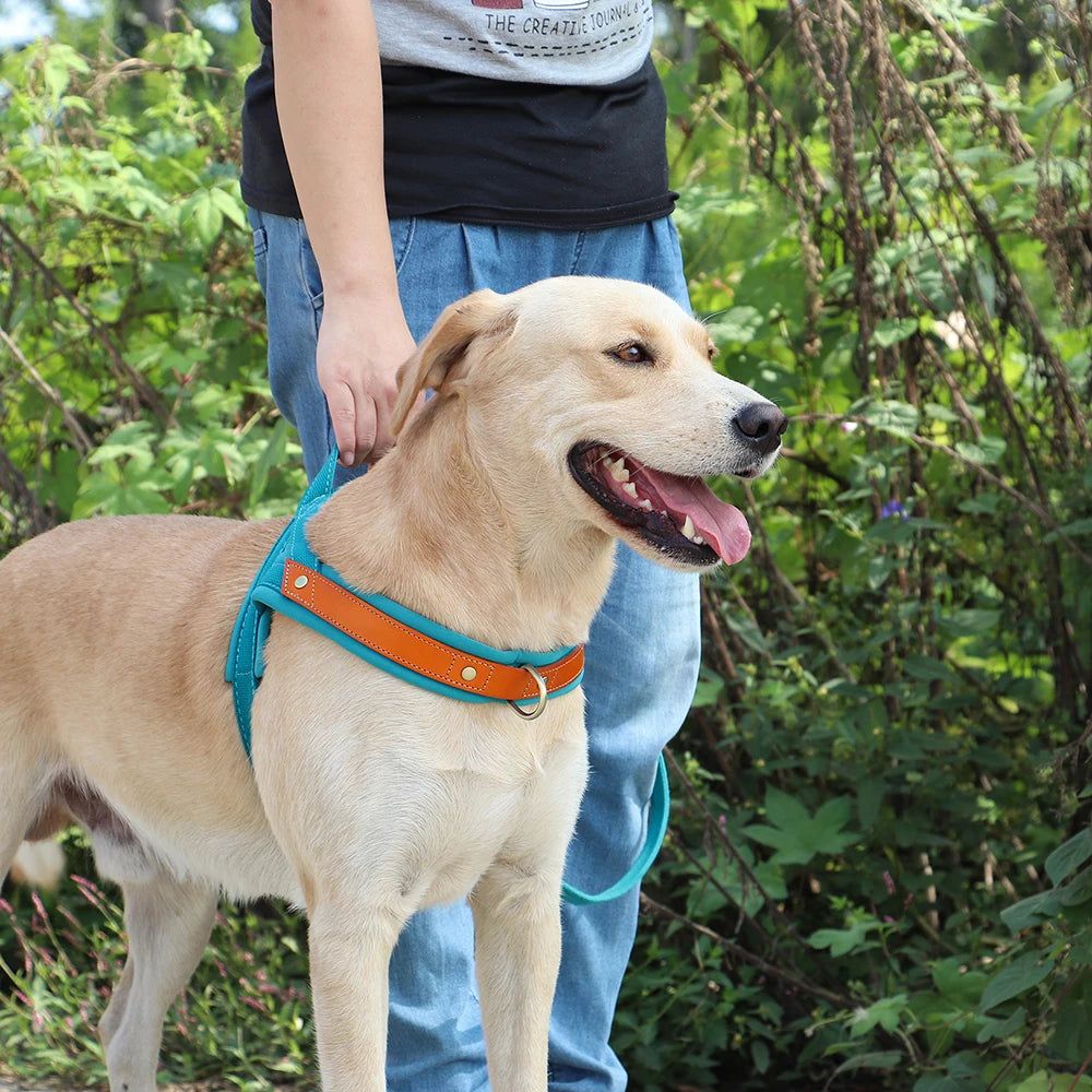 Reflective No-Pull Dog Harness - The Canine Cart