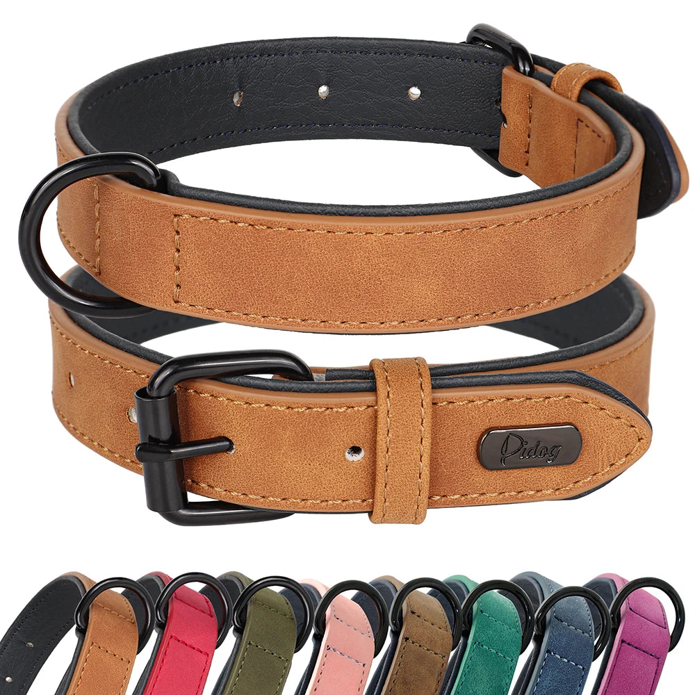 Soft Padded Leather Dog Collar - The Canine Cart