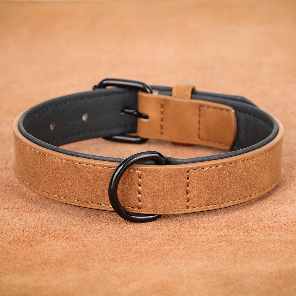 Soft Padded Leather Dog Collar - The Canine Cart