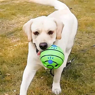 Interactive Giggle Ball for Small Dogs - The Canine Cart