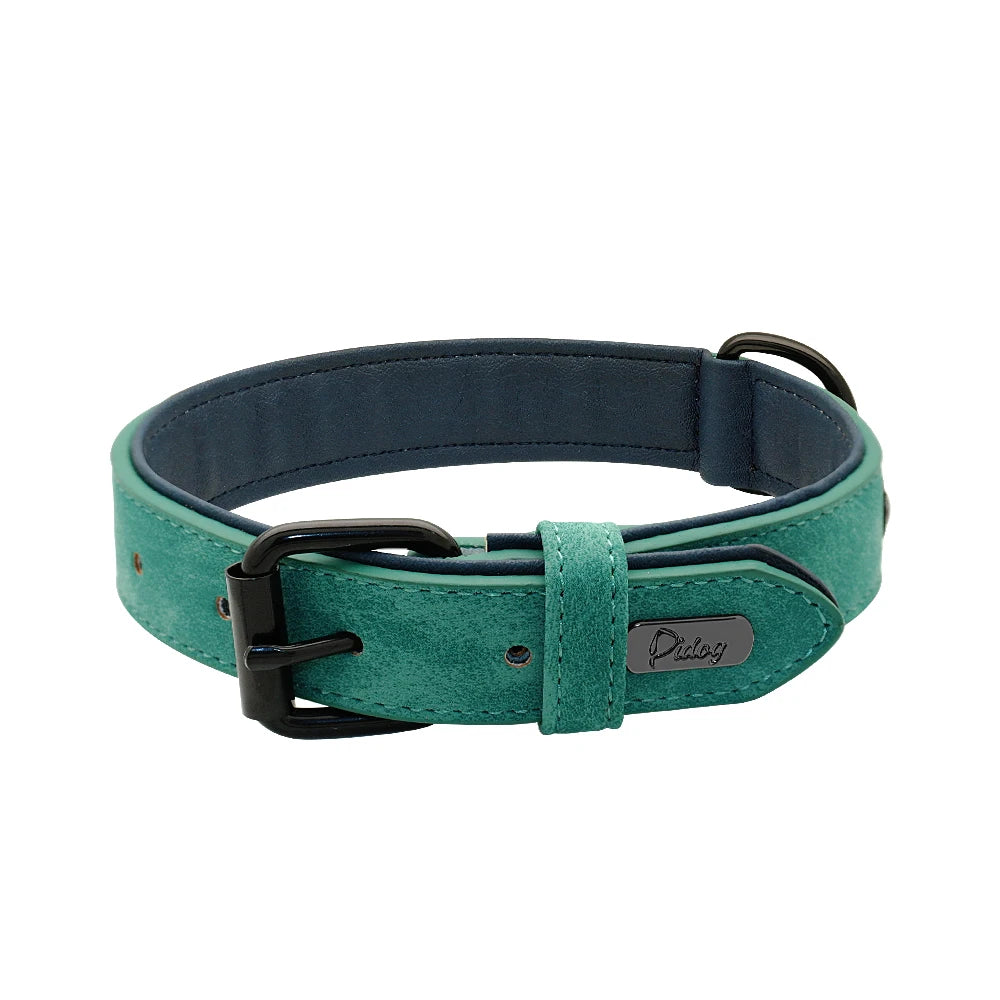 Soft Padded Leather Dog Collar - The Canine Cart