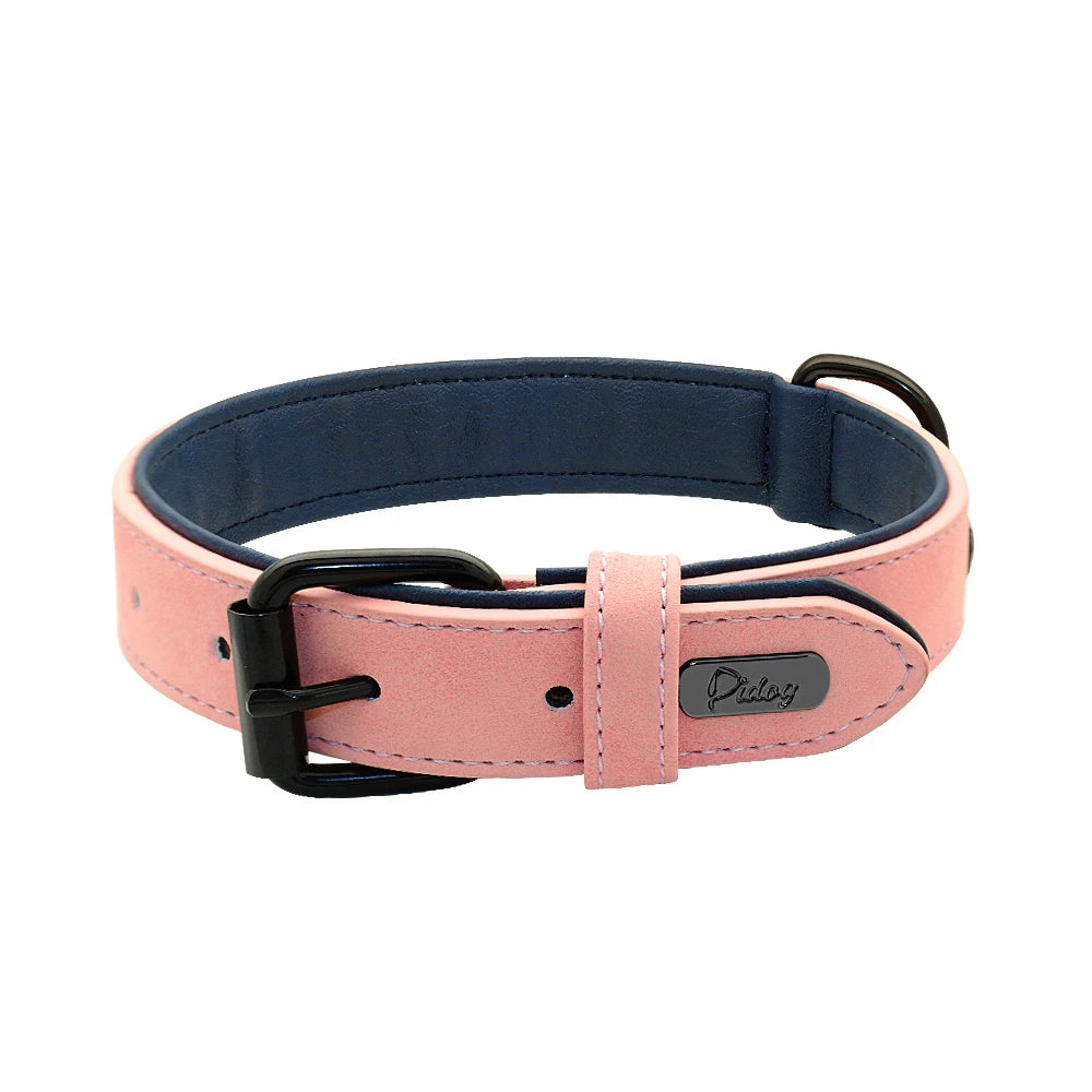 Soft Padded Leather Dog Collar - The Canine Cart
