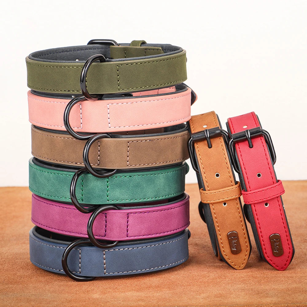 Soft Padded Leather Dog Collar - The Canine Cart