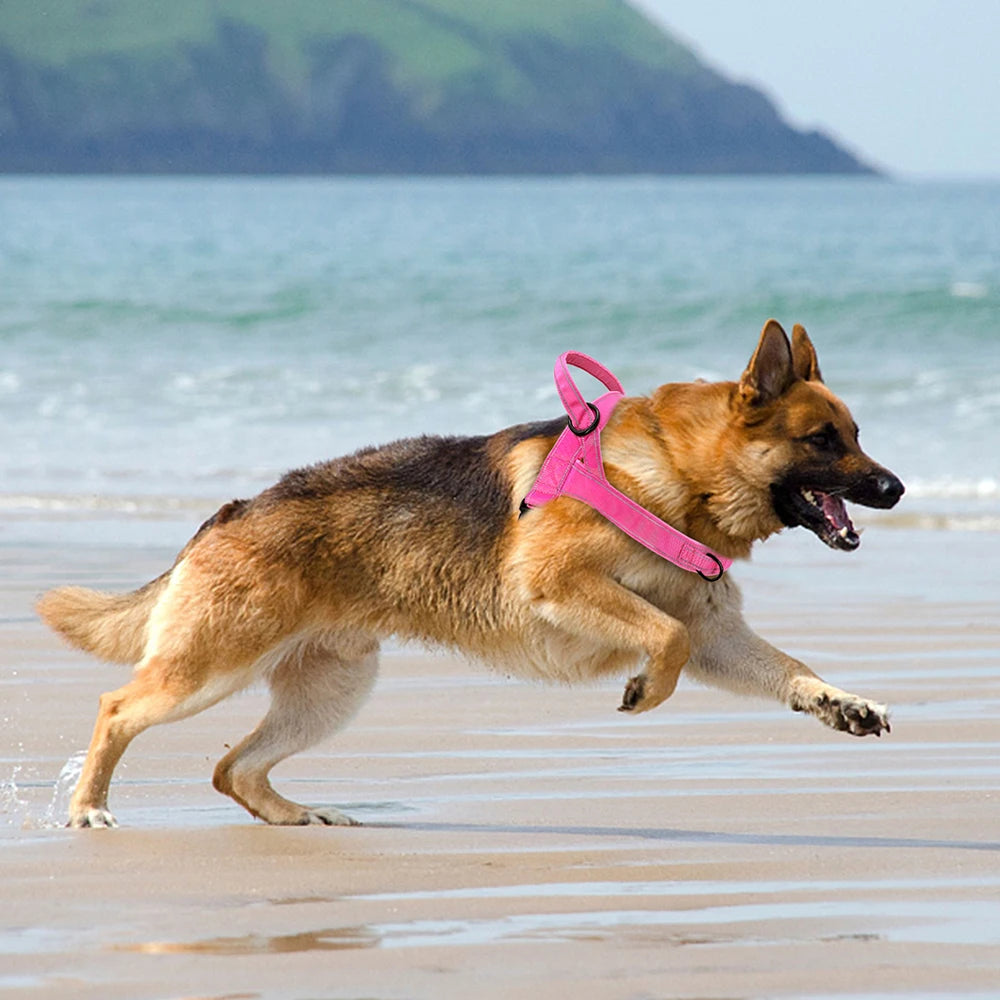 Reflective No-Pull Dog Harness - The Canine Cart