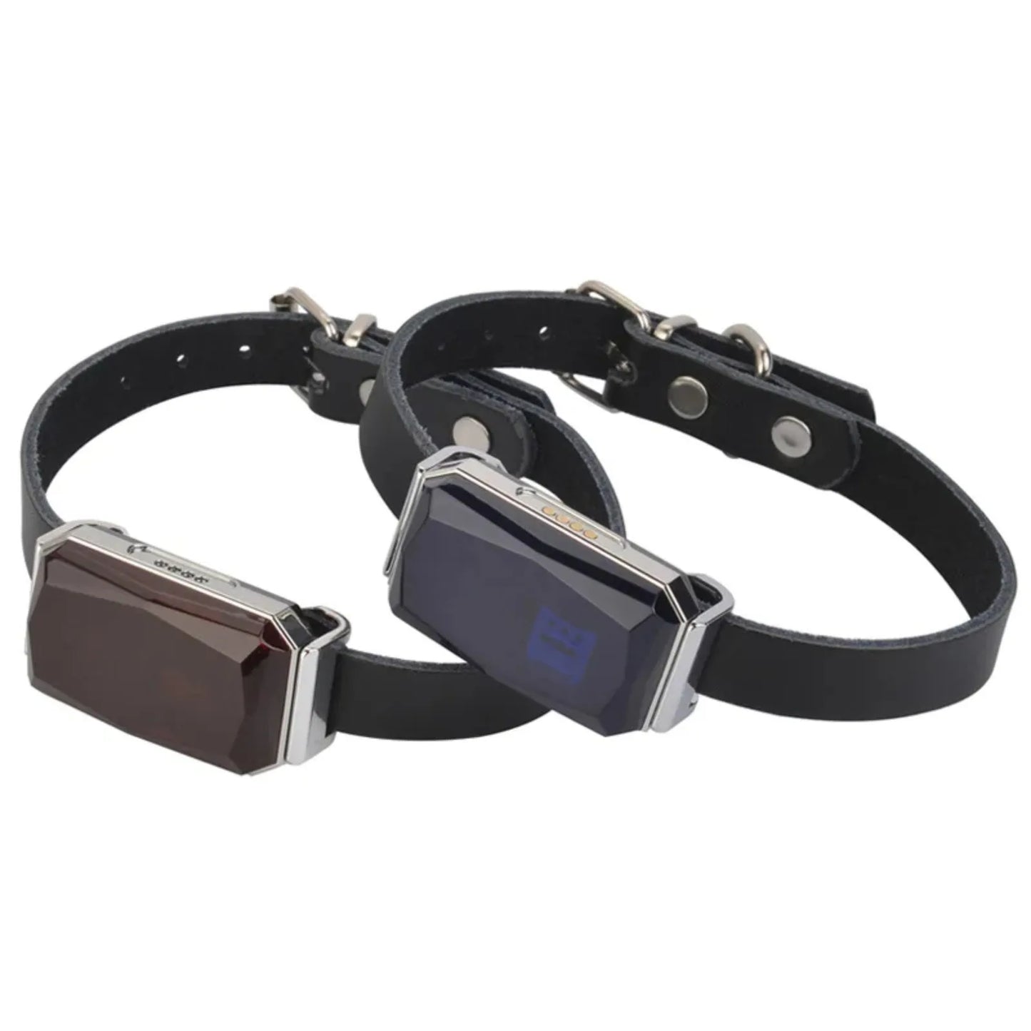 GPS Dog Tracker Collar - The Canine Cart