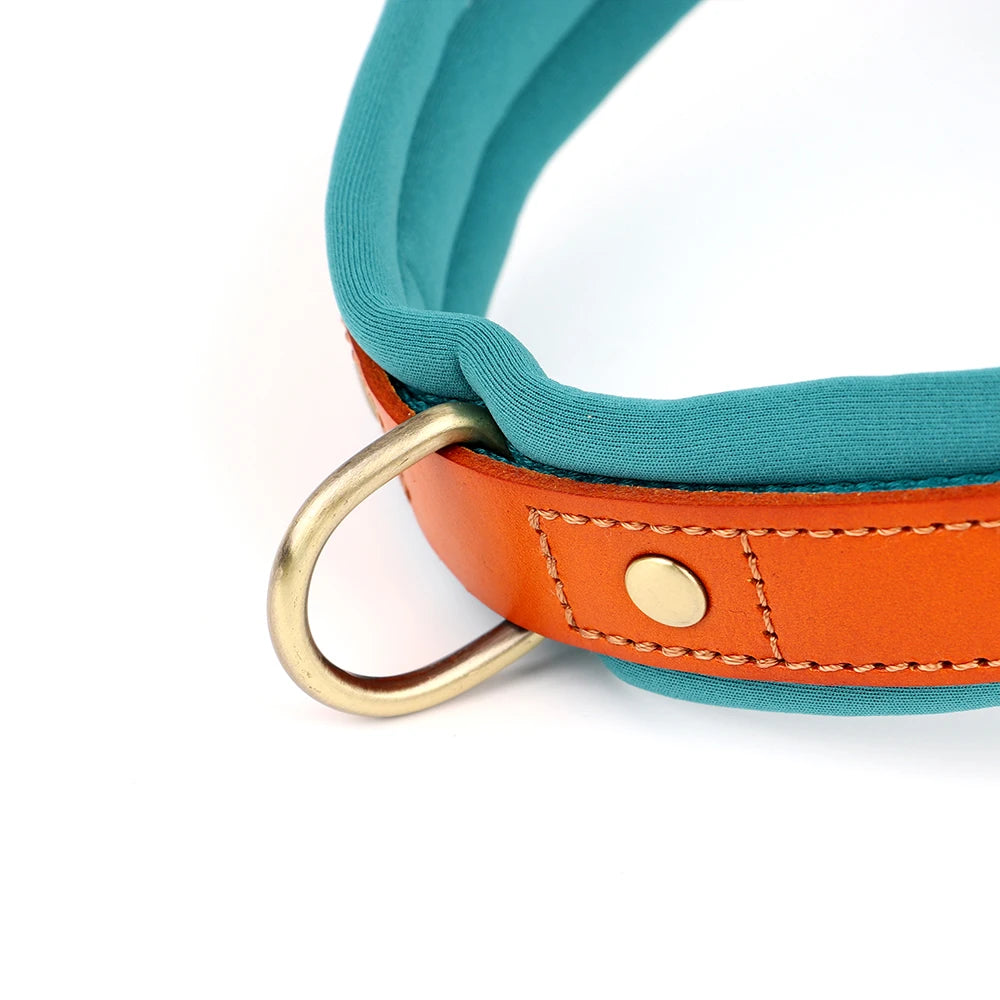 Reflective No-Pull Dog Harness - The Canine Cart