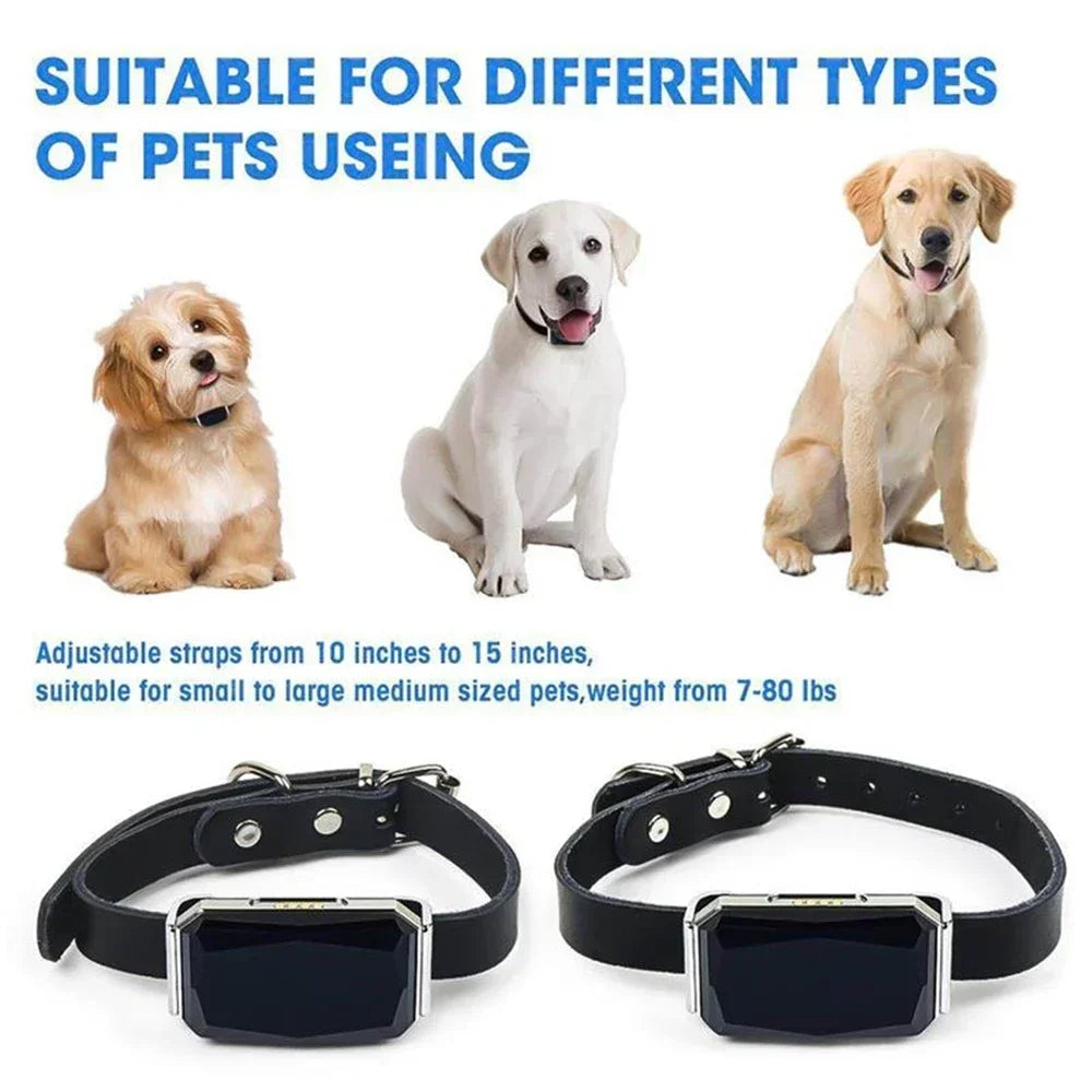 GPS Dog Tracker Collar - The Canine Cart