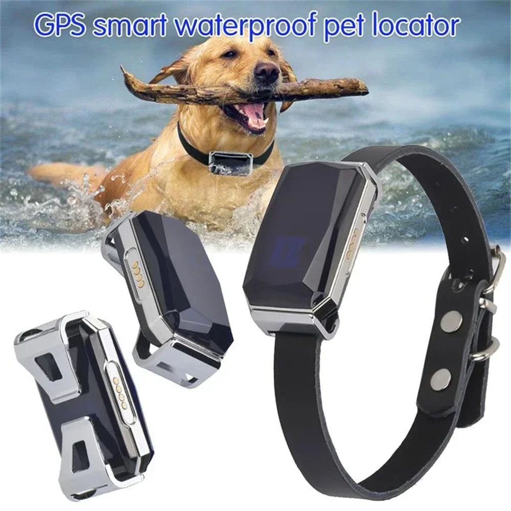 GPS Dog Tracker Collar - The Canine Cart