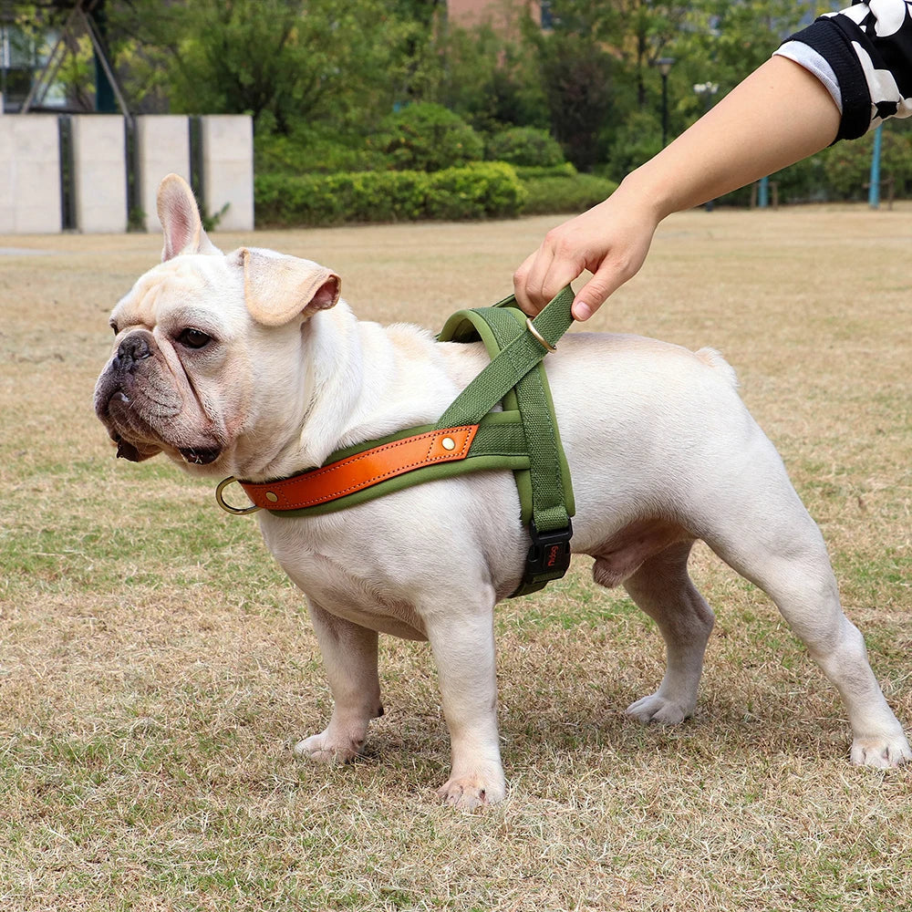 Reflective No-Pull Dog Harness - The Canine Cart