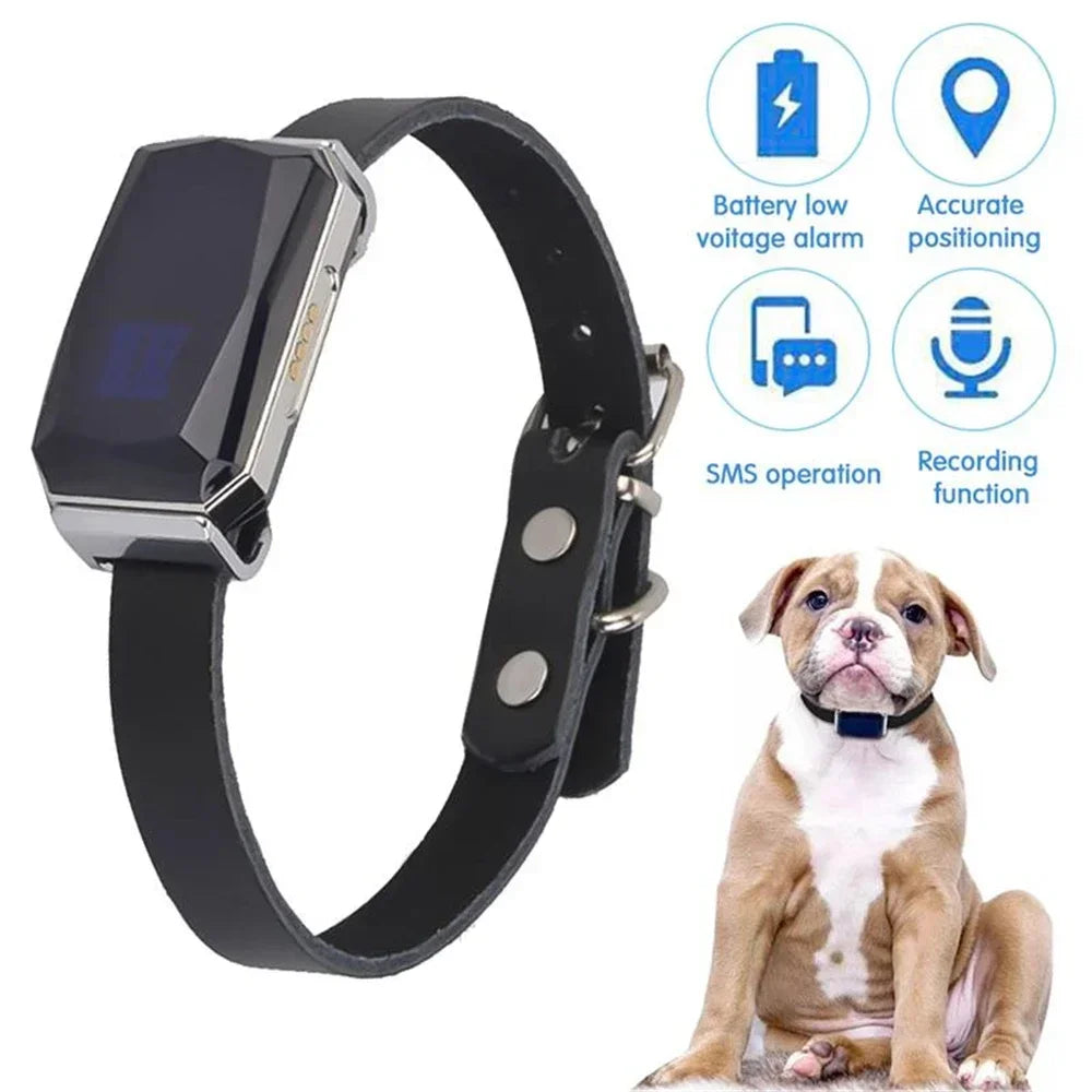 GPS Dog Tracker Collar - The Canine Cart