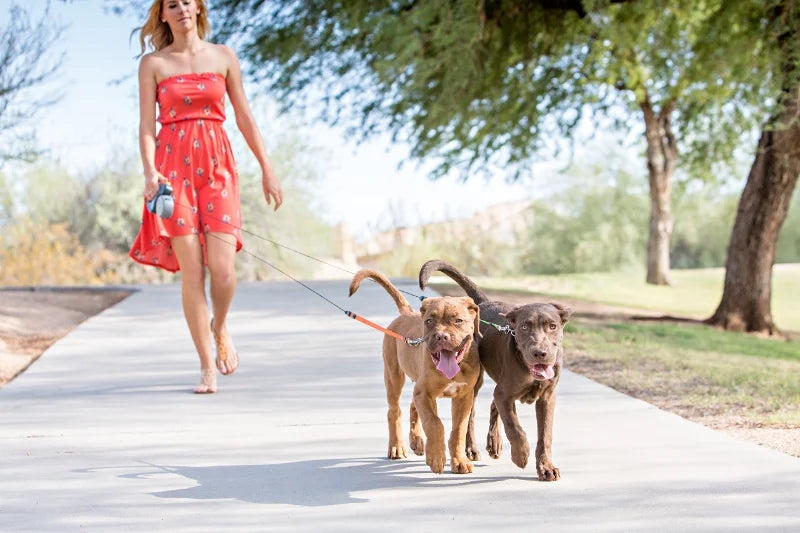 360° Reflective Dual Dog Leash with LED Light - The Canine Cart
