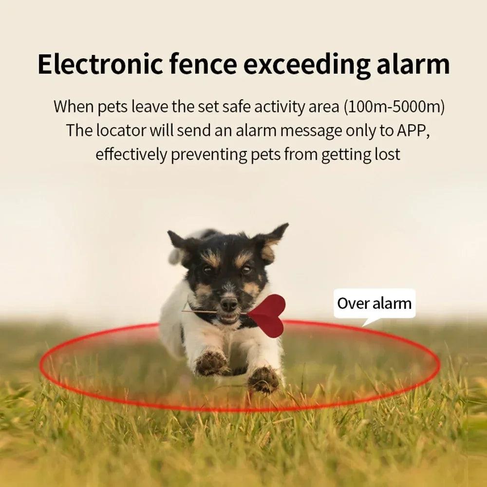 GPS Dog Tracker Collar - The Canine Cart