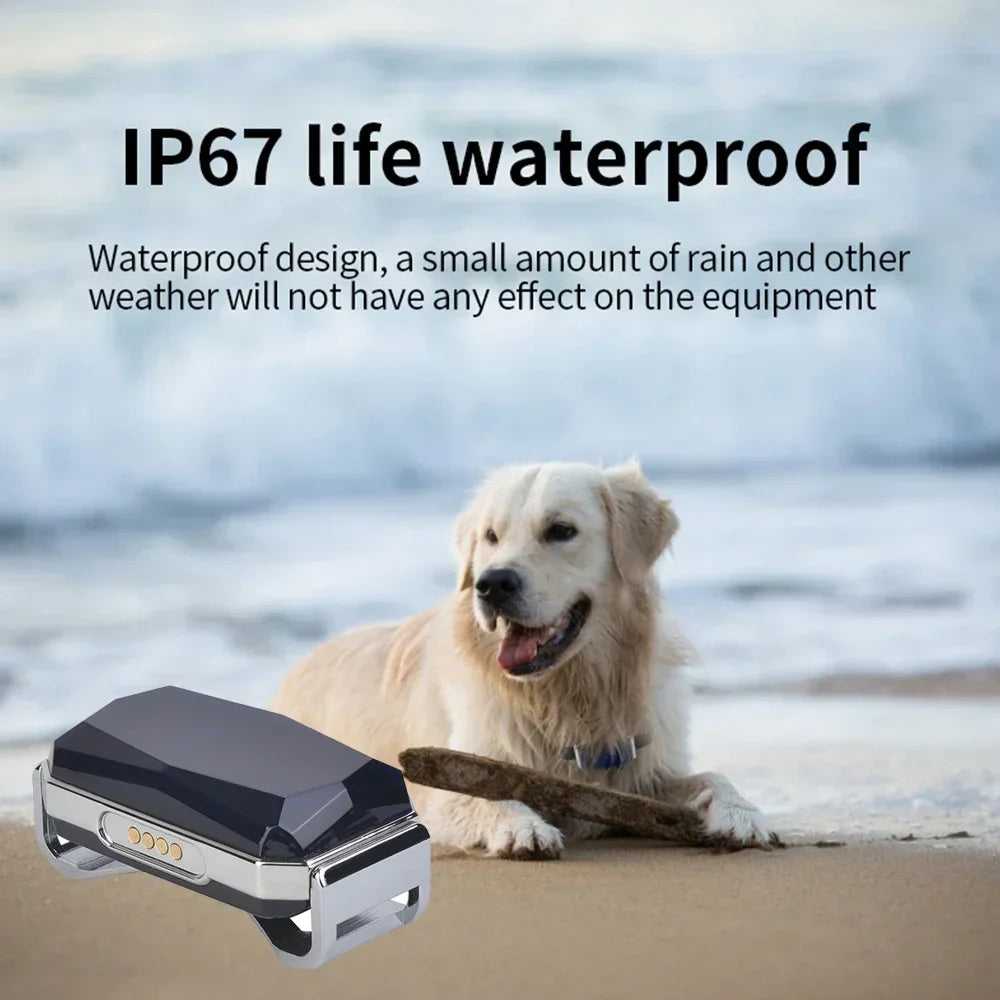 GPS Dog Tracker Collar - The Canine Cart