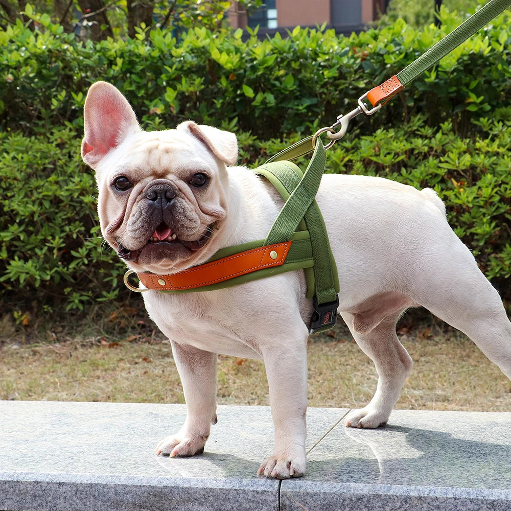 Reflective No-Pull Dog Harness - The Canine Cart