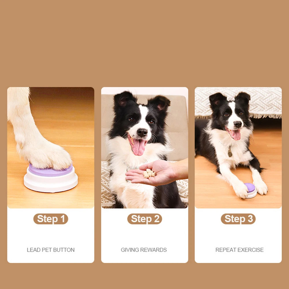 Voice Recording Toy for Dogs & Cats - The Canine Cart