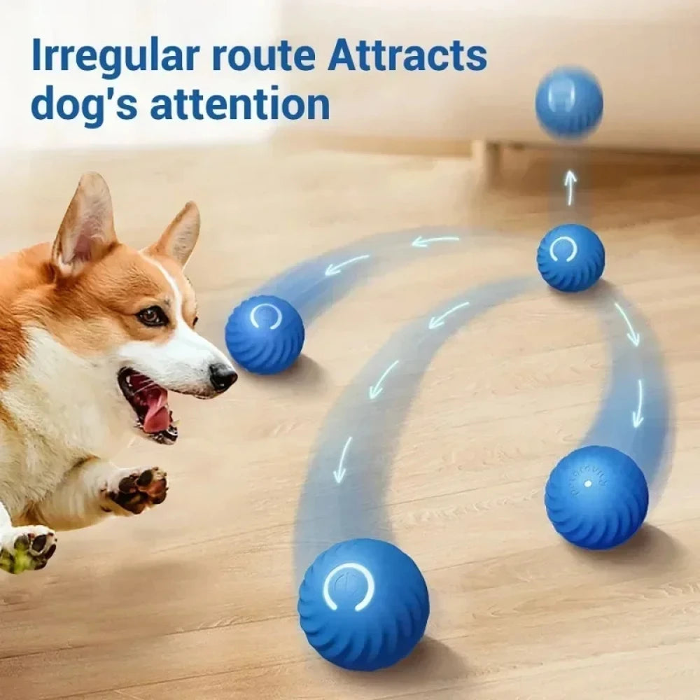 Smart Rechargeable Rolling Ball for Dogs - The Canine Cart