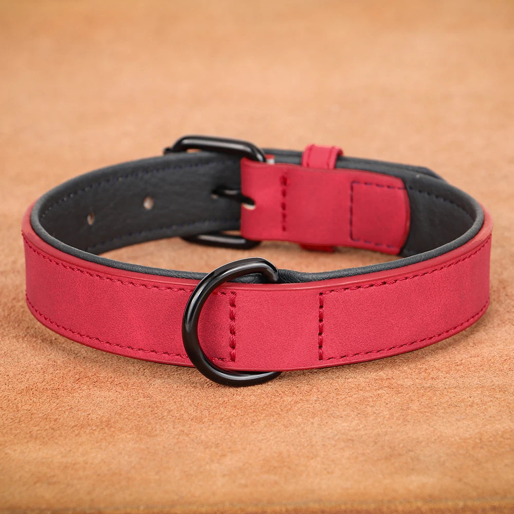 Soft Padded Leather Dog Collar - The Canine Cart