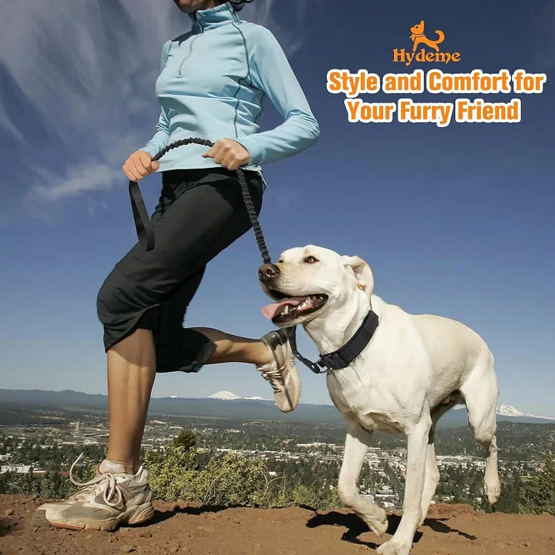 Tactical & Adjustable Dog Collar - The Canine Cart