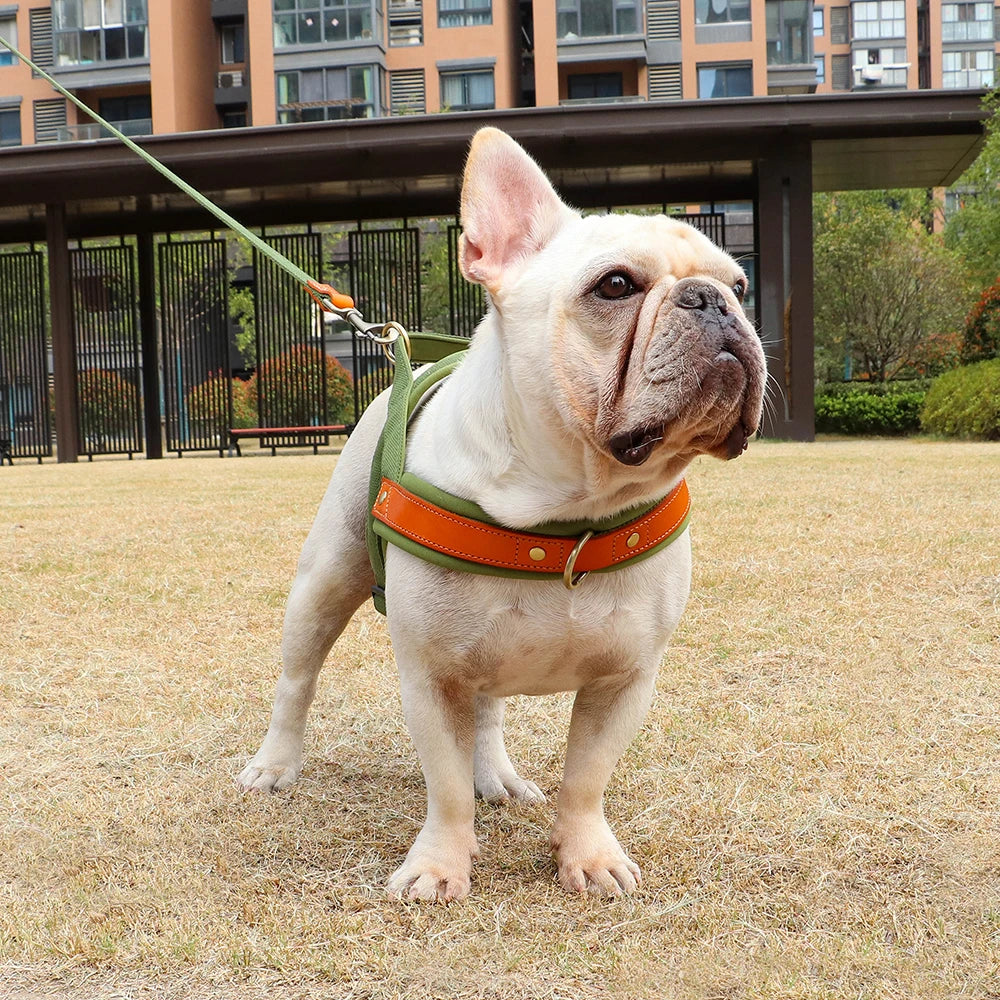 Reflective No-Pull Dog Harness - The Canine Cart
