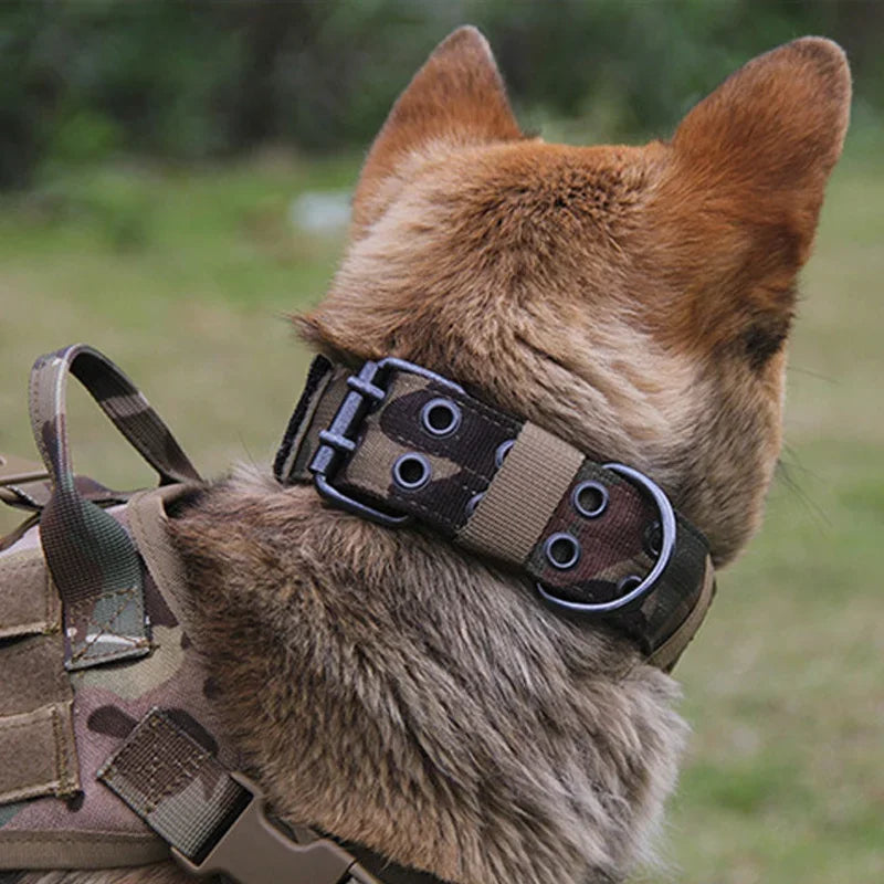 Reflective Tactical Dog Collar - The Canine Cart