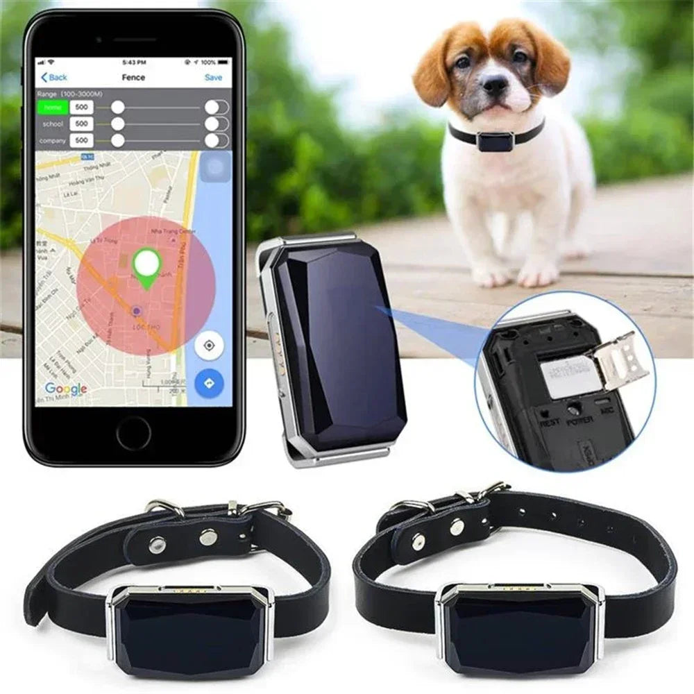 GPS Dog Tracker Collar - The Canine Cart