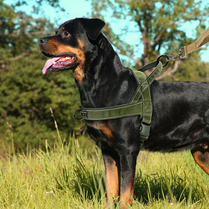 Reflective No-Pull Dog Harness - The Canine Cart