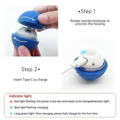 Smart Rechargeable Rolling Ball for Dogs - The Canine Cart