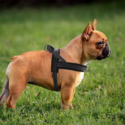 Reflective No-Pull Dog Harness - The Canine Cart