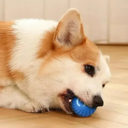 Smart Rechargeable Rolling Ball for Dogs - The Canine Cart