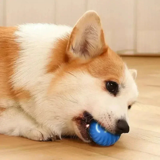Smart Rechargeable Rolling Ball for Dogs - The Canine Cart