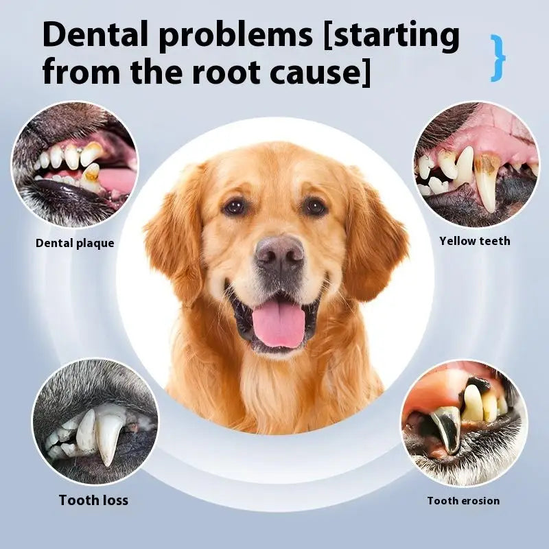 Ultrasonic Dental Scaler for Dogs - The Canine Cart