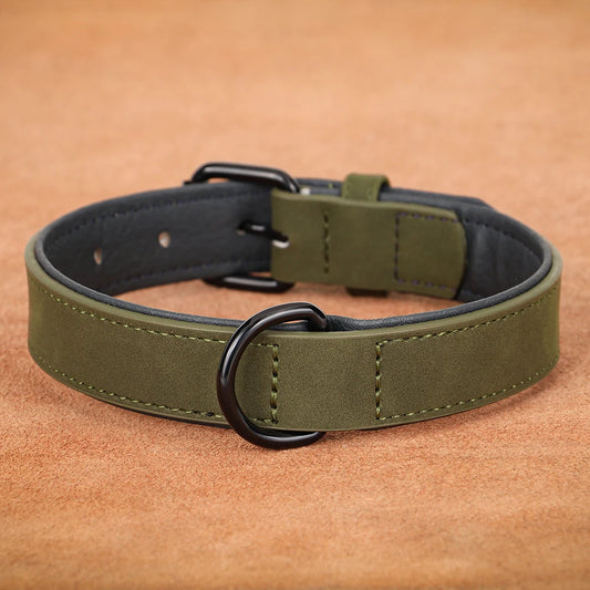 Soft Padded Leather Dog Collar - The Canine Cart