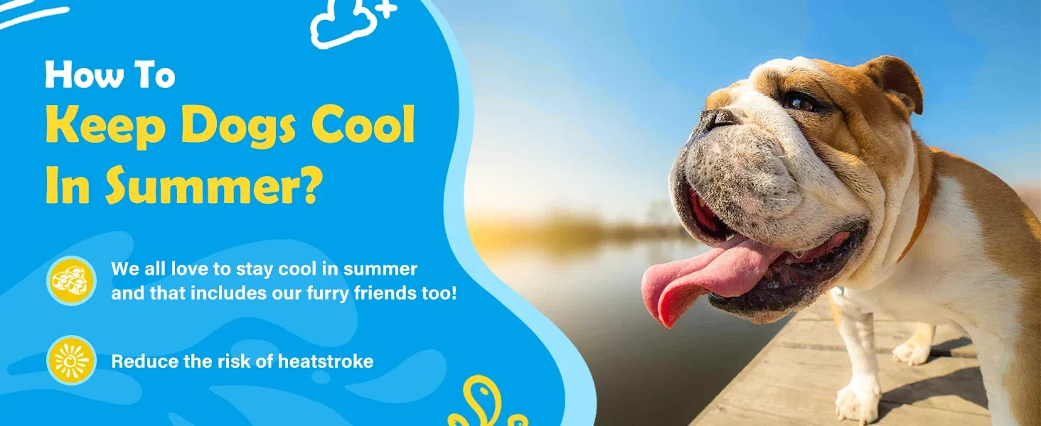 Dog Splash Pad - The Canine Cart