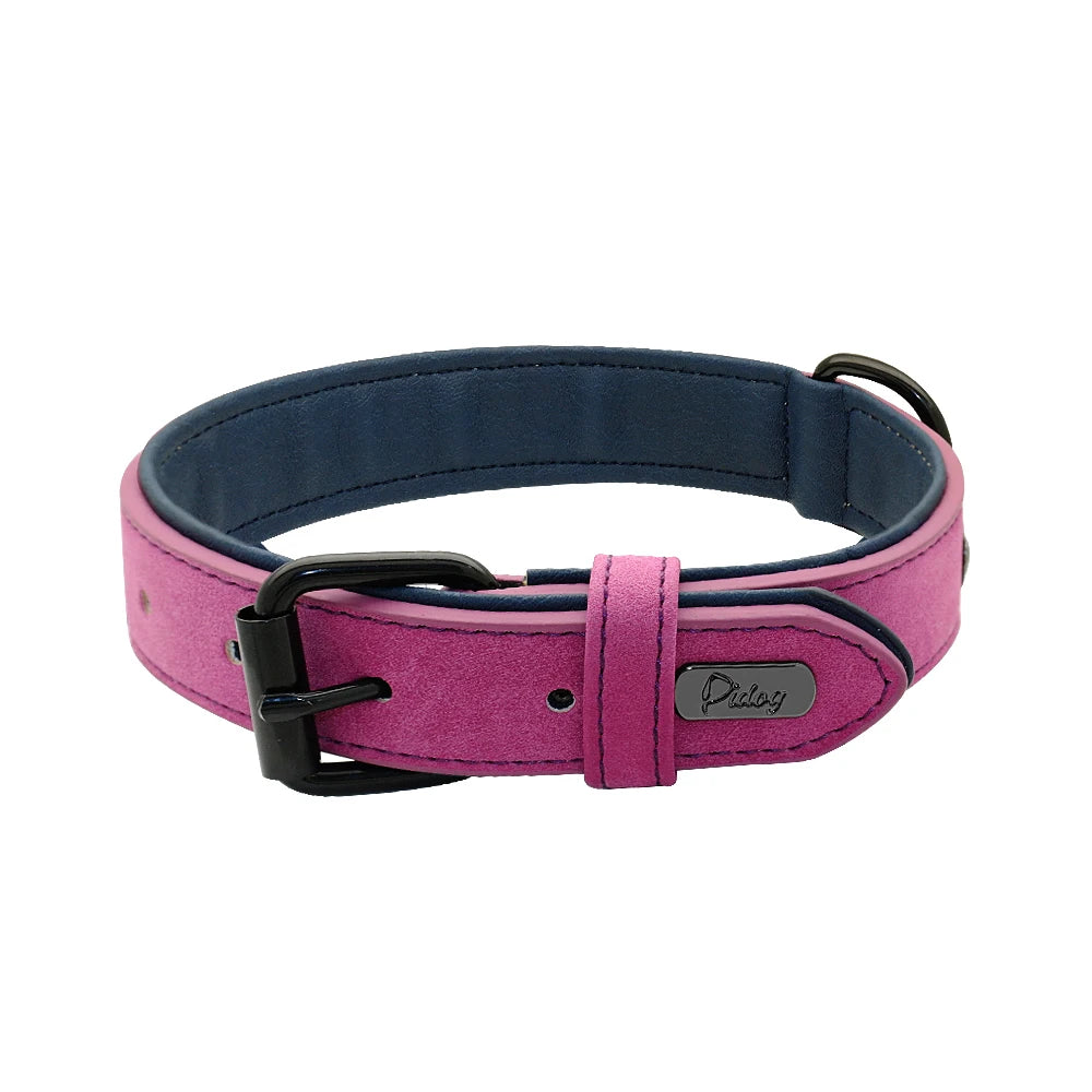 Soft Padded Leather Dog Collar - The Canine Cart