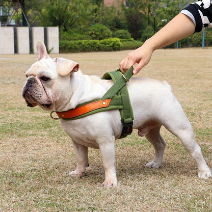Reflective No-Pull Dog Harness - The Canine Cart