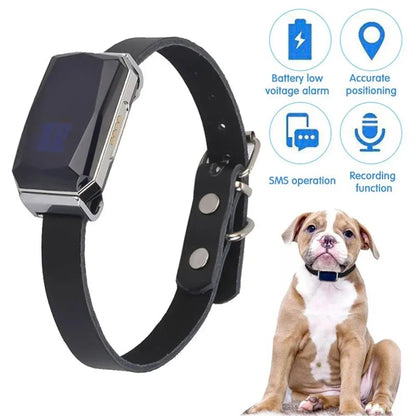 GPS Dog Tracker Collar - The Canine Cart