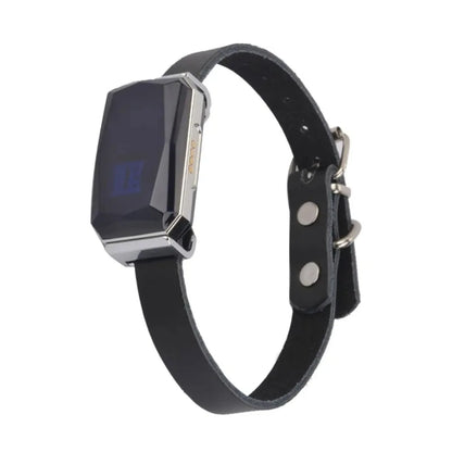 GPS Dog Tracker Collar - The Canine Cart