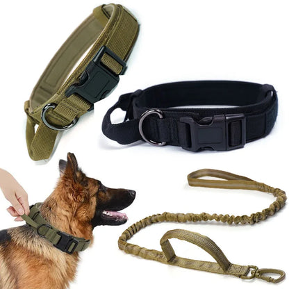 Tactical & Adjustable Dog Collar - The Canine Cart