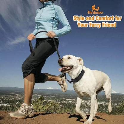 Tactical & Adjustable Dog Collar - The Canine Cart