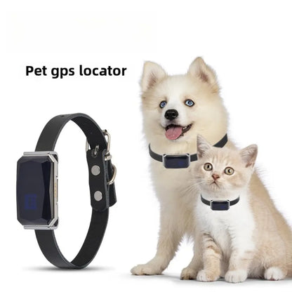 GPS Dog Tracker Collar - The Canine Cart